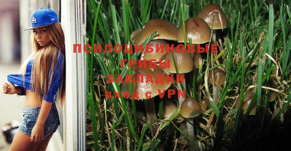 дмт Алексеевка