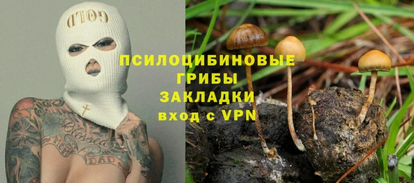 дмт Алексеевка