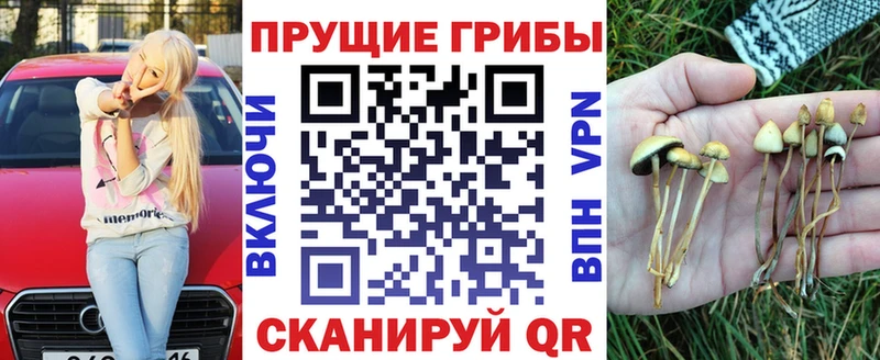 mega сайт  Бирюч  Псилоцибиновые грибы Cubensis 